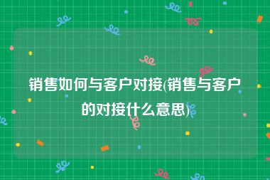 销售如何与客户对接(销售与客户的对接什么意思)