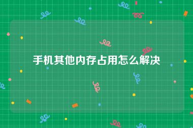 手机其他内存占用怎么解决