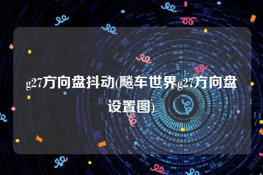 g27方向盘抖动(飚车世界g27方向盘设置图)