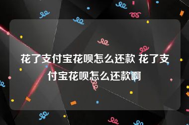 花了支付宝花呗怎么还款 花了支付宝花呗怎么还款啊