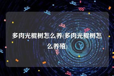 多肉光棍树怎么养(多肉光棍树怎么养殖)