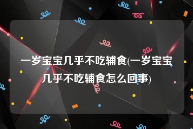 一岁宝宝几乎不吃辅食(一岁宝宝几乎不吃辅食怎么回事)