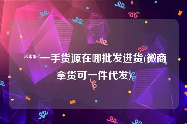  *** 一手货源在哪批发进货(微商拿货可一件代发)