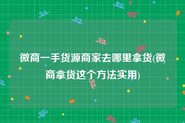 微商一手货源商家去哪里拿货(微商拿货这个方法实用)