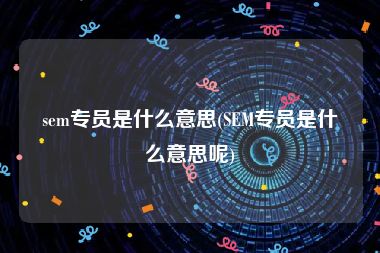 sem专员是什么意思(SEM专员是什么意思呢)