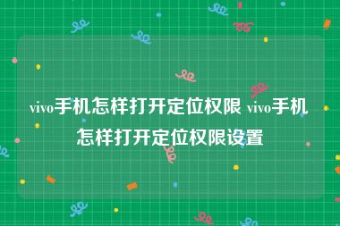vivo手机怎样打开定位权限 vivo手机怎样打开定位权限设置
