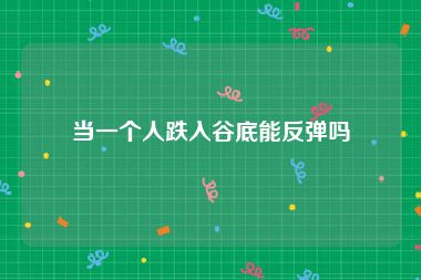 当一个人跌入谷底能反弹吗