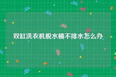 双缸洗衣机脱水桶不排水怎么办