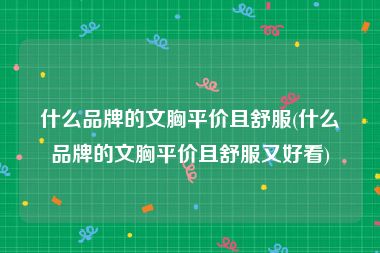 什么品牌的文胸平价且舒服(什么品牌的文胸平价且舒服又好看)