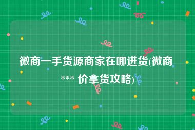 微商一手货源商家在哪进货(微商 *** 价拿货攻略)