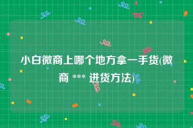小白微商上哪个地方拿一手货(微商 *** 进货方法)