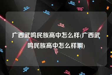 广西武鸣民族高中怎么样(广西武鸣民族高中怎么样啊)