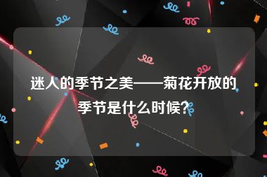 迷人的季节之美——菊花开放的季节是什么时候？