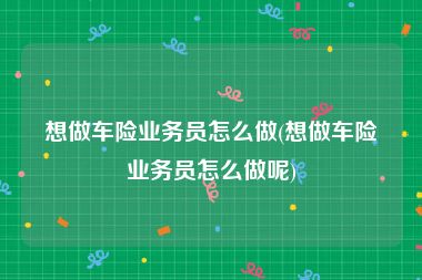 想做车险业务员怎么做(想做车险业务员怎么做呢)
