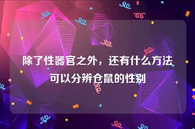 除了性器官之外，还有什么方法可以分辨仓鼠的性别