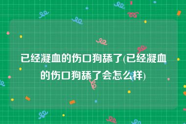 已经凝血的伤口狗舔了(已经凝血的伤口狗舔了会怎么样)