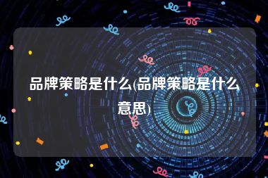 品牌策略是什么(品牌策略是什么意思)