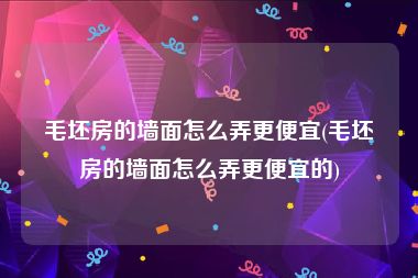毛坯房的墙面怎么弄更便宜(毛坯房的墙面怎么弄更便宜的)