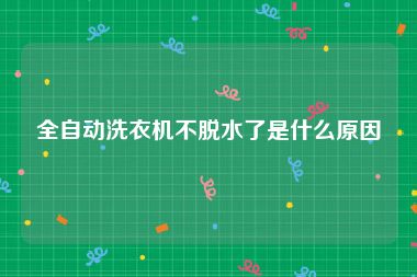 全自动洗衣机不脱水了是什么原因