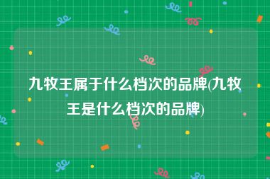九牧王属于什么档次的品牌(九牧王是什么档次的品牌)