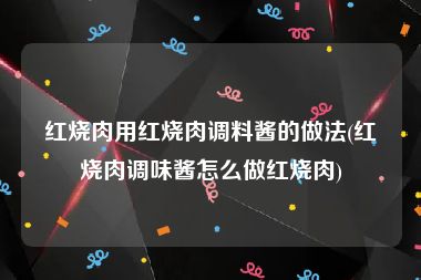 红烧肉用红烧肉调料酱的做法(红烧肉调味酱怎么做红烧肉)