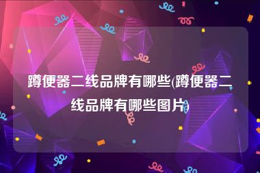 蹲便器二线品牌有哪些(蹲便器二线品牌有哪些图片)