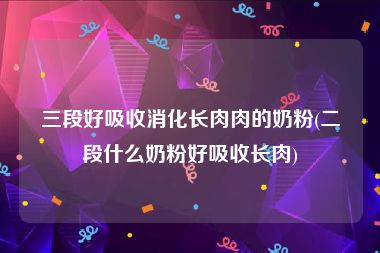 三段好吸收消化长肉肉的奶粉(二段什么奶粉好吸收长肉)