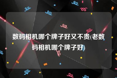 数码相机哪个牌子好又不贵(老数码相机哪个牌子好)