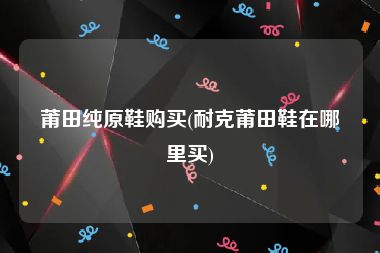 莆田纯原鞋购买(耐克莆田鞋在哪里买)