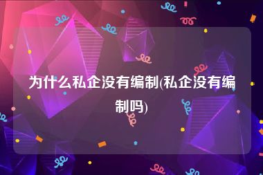 为什么私企没有编制(私企没有编制吗)