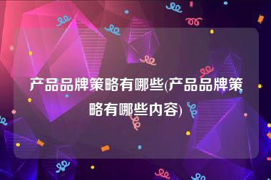 产品品牌策略有哪些(产品品牌策略有哪些内容)