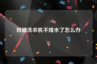 双桶洗衣机不排水了怎么办