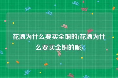 花洒为什么要买全铜的(花洒为什么要买全铜的呢)