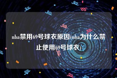 nba禁用69号球衣原因(nba为什么禁止使用69号球衣)