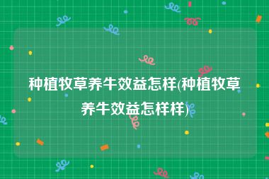 种植牧草养牛效益怎样(种植牧草养牛效益怎样样)