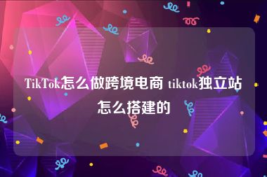 TikTok怎么做跨境电商 tiktok独立站怎么搭建的