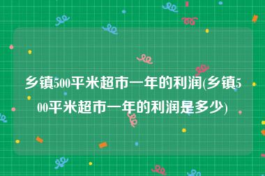 乡镇500平米超市一年的利润(乡镇500平米超市一年的利润是多少)