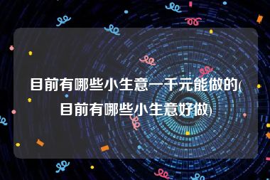 目前有哪些小生意一千元能做的(目前有哪些小生意好做)