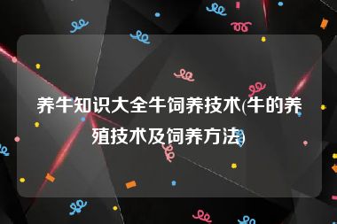 养牛知识大全牛饲养技术(牛的养殖技术及饲养方法)