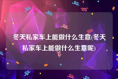 冬天私家车上能做什么生意(冬天私家车上能做什么生意呢)