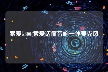 索爱w300(索爱话筒音响一体麦克风)