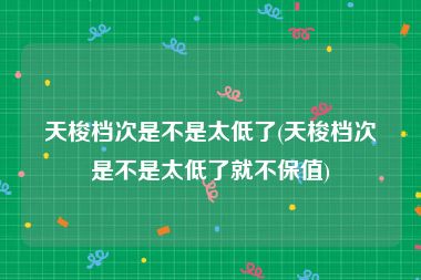 天梭档次是不是太低了(天梭档次是不是太低了就不保值)
