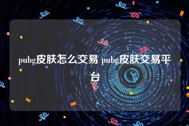 pubg皮肤怎么交易 pubg皮肤交易平台