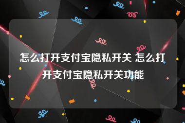 怎么打开支付宝隐私开关 怎么打开支付宝隐私开关功能