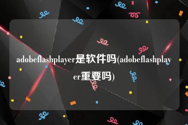 adobeflashplayer是软件吗(adobeflashplayer重要吗)