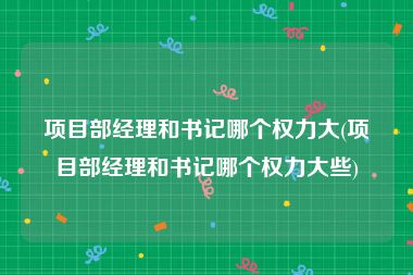 项目部经理和书记哪个权力大(项目部经理和书记哪个权力大些)