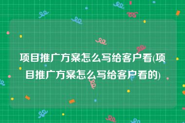 项目推广方案怎么写给客户看(项目推广方案怎么写给客户看的)
