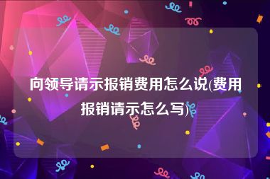 向领导请示报销费用怎么说(费用报销请示怎么写)