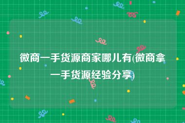 微商一手货源商家哪儿有(微商拿一手货源经验分享)