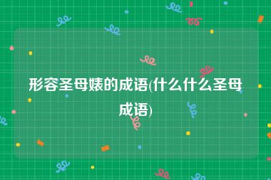 形容圣母婊的成语(什么什么圣母成语)